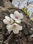 新しい季節の始まりに～